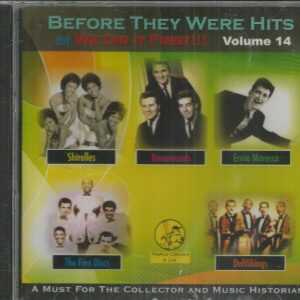 BEFORE THEY WERE HITS - VOL 14