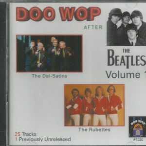 DOO WOP AFTER THE BEATLES - VOL 1