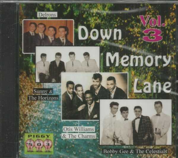 DOWN MEMORY LANE - VOL 3