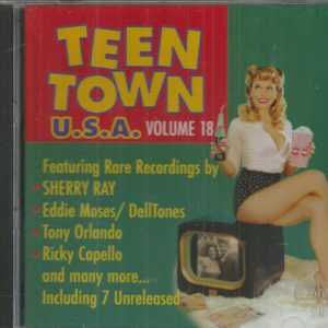 TEEN TOWN USA - VOL 18