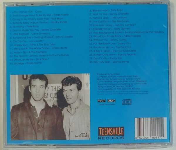 RUNAROUND WHO? - 30 SONGS INFLUENCED BY DION DIMUCCI - Image 3