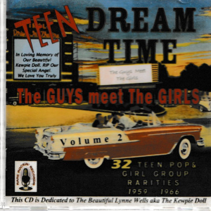 TEEN DREAM TIME VOL 2 CD THE GUYS MEET THE GIRLS - BRAND NEW