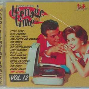 TEENAGE TIME - VOL 13   CD     BRAND NEW