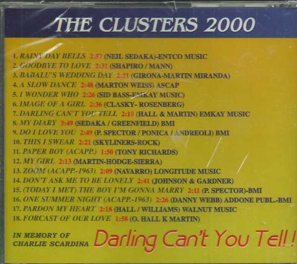 CLUSTERS 2000 - DARLING CAN'T YOU TELL - CD - BRAND NEW - Image 3