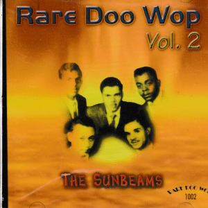 RARE DOO WOP - VOL 2 CD - BRAND NEW