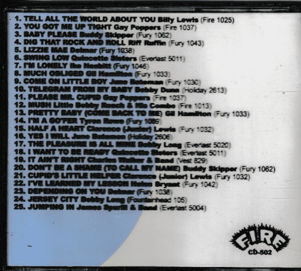 N.Y. ON FIRE VOL 2 CD - BRAND NEW - Image 3
