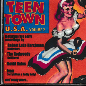 TEEN TOWN USA CD VOL 2 - BRAND NEW