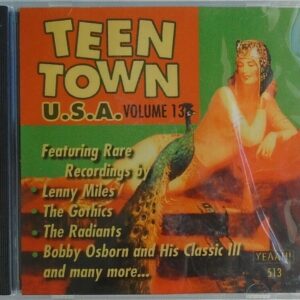 TEEN TOWN USA - CD - Volume 13 - BRAND NEW