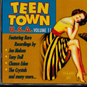 TEEN TOWN USA VOL 11 CD- BRAND NEW