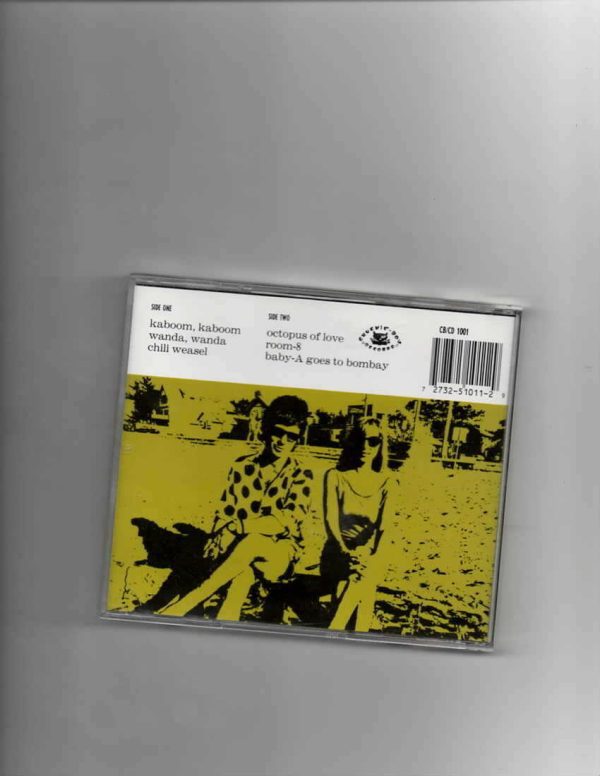 HOLIDAYS - WANT YOU TO KNOW THAT EVERYDAY IS A HOLIDAY-CD - Image 3