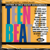 TEEN BEAT VOL 4 CD - BRAND NEW