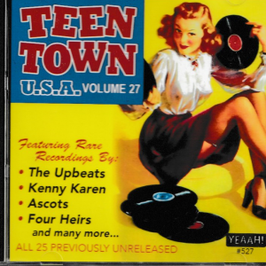 TEEN TOWN USA VOL 27 CD - BRAND NEW