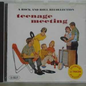 TEENAGE MEETING - A Rock and Roll Recollection-Various Artists - VERY GOOD -  CD