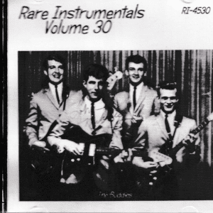 RARE INSTRUMENTALS - VOL 30 CD - BRAND NEW