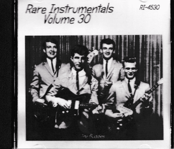 RARE INSTRUMENTALS - VOL 30 CD - BRAND NEW