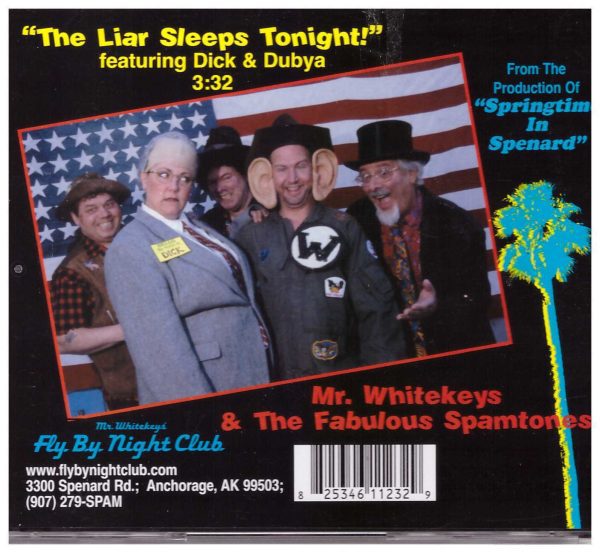 THE LIAR SLEEPS TONIGHT - CD - Dick & Dubya - VERY GOOD CONDITION - Image 3