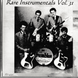 RARE INSTRUMENTALS - VOL 31 CD - BRAND NEW