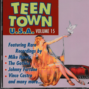 TEEN TOWN USA VOL 15 CD - BRAND NEW