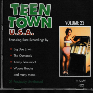 TEEN TOWN USA VOL 22 CD - BRAND NEW
