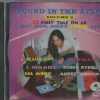 FOUND IN THE ATTIC - Vol. 2 - BRAND NEW -  CD