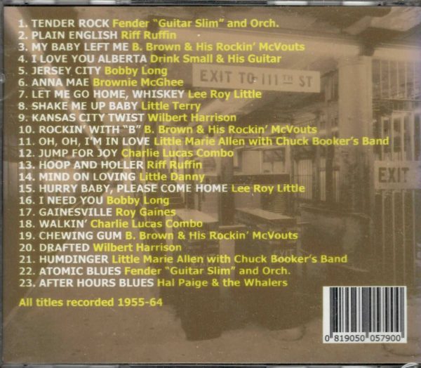 New York Tracks - Downhome Blues In The City - CD - Brand New - Image 3