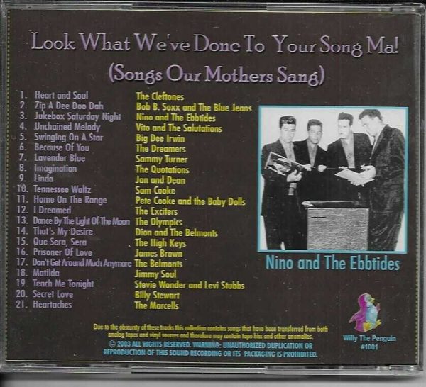 LOOK WHAT WE'VE DONE TO YOUR SONG MA! CD - BRAND NEW - Image 3
