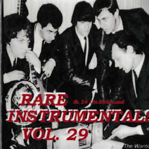 RARE INSTRUMENTALS - VOL 29 CD - BRAND NEW