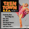 TEEN TOWN USA VOL 16 CD - BRAND NEW