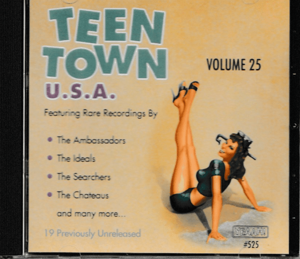 TEEN TOWN USA VOL 25 CD - BRAND NEW
