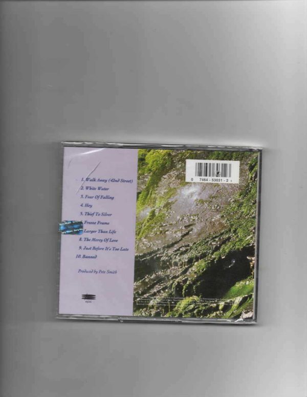 SHONA LAING - NEW ON EARTH-BRAND NEW CD - Image 3