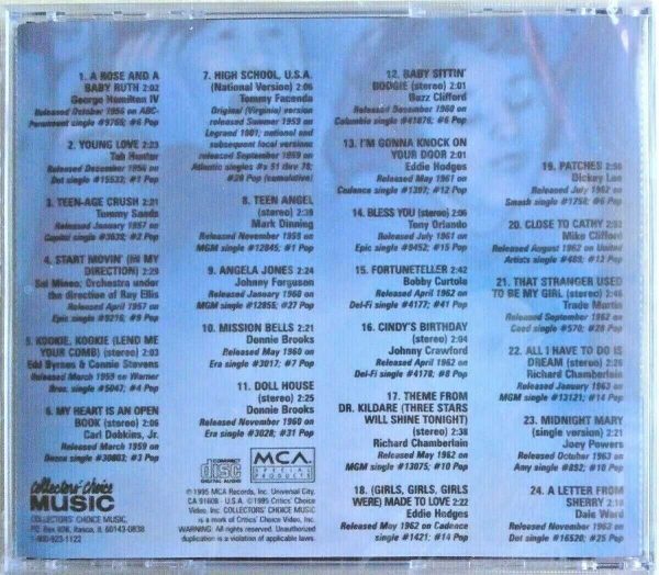 TEEN IDOLS FOR A MOMENT - CD - Brand New - Image 3