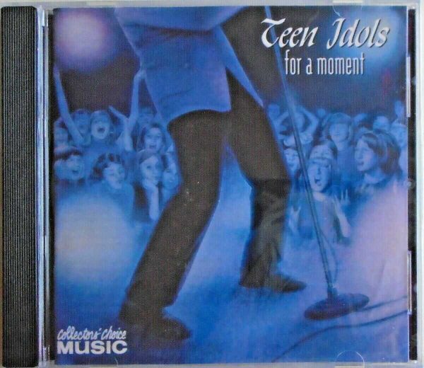TEEN IDOLS FOR A MOMENT - CD - Brand New